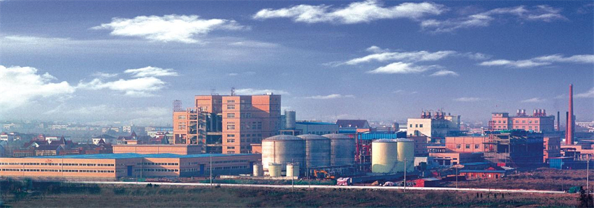 浙江化纖聯(lián)合集團(tuán)有限公司 - 副本.jpg